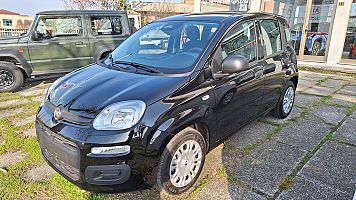 FIAT PANDINA